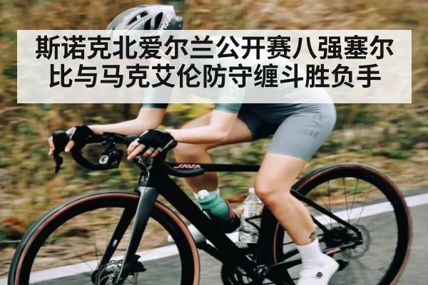 斯诺克北爱尔兰公开赛八强塞尔比与马克艾伦防守缠斗胜负手